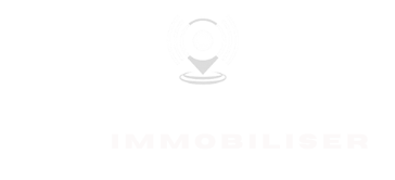 Nemesis immobiliser logo.